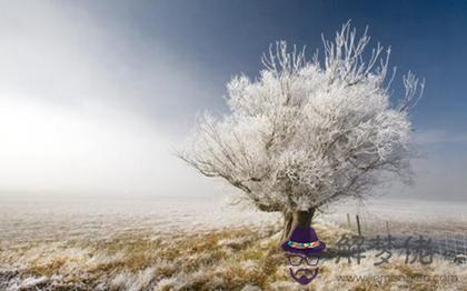 2019年小雪當天是下葬吉日嗎,節氣小雪屬于什麼季節？(圖文)