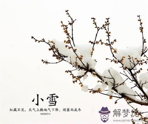 小雪出生的屬牛人命運好不好 是不是富貴命？(圖文)