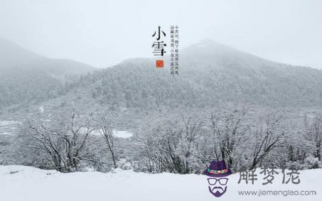 不同年份屬鼠的人生于小雪節氣是什麼命 性格好不好？(圖文)