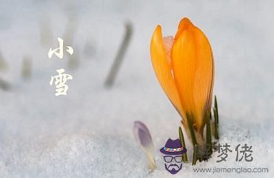 2019年小雪節氣適合搬家嗎？搬家有什麼講究？(圖文)