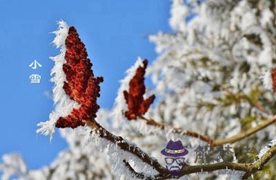 2020年小雪節氣是農歷哪一天？這天適合搬家喬遷嗎？(圖文)