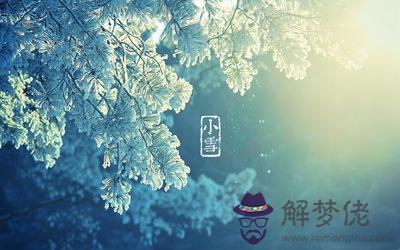 小雪時節養生要注意什麼？2019年小雪日子好不好？(圖文)