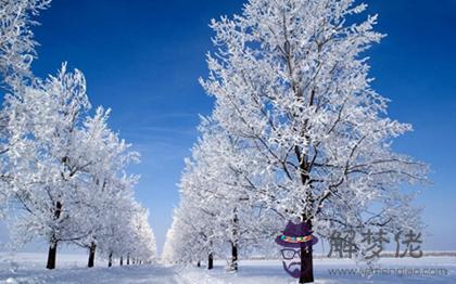 2019年小雪的具體時辰是多少,關于小雪節氣諺語解析！(圖文)