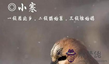 2019年小寒后一天臘月十三破土遷墳好嗎,小寒節氣農諺盤點！(圖文)