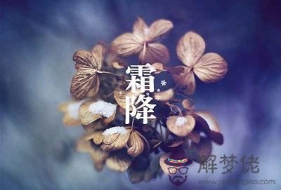 2019霜降什麼時候開始？霜降物候特征(圖文)