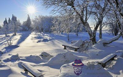 2019年農歷十一月十二大雪節氣適合祭祀祭祖嗎？(圖文)