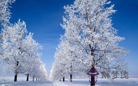 2019年陰歷十月廿六小雪搬家安床好嗎,小雪是第幾個節氣？(圖文)