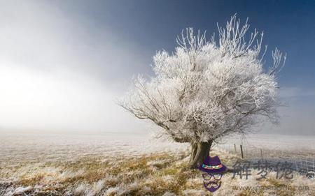 2019年陰歷十月廿七小雪后一天日子好嗎,小雪吃什麼好？(圖文)