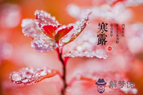 寒露2019是不是吉日 寒露節氣的含義是什麼？(圖文)