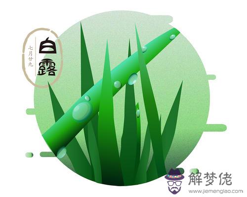 白露習俗,白露吃龍眼是什麼意思?白露節氣風俗(圖文)