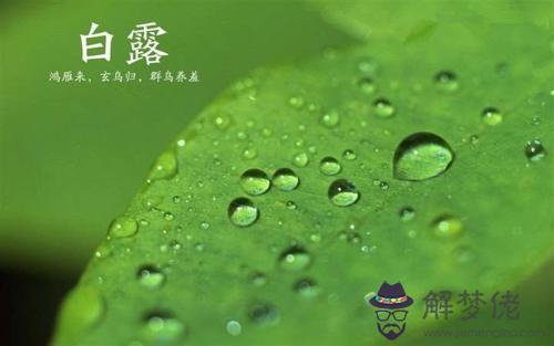 2019白露節氣那天幾點幾分是白露時辰,白露節氣特點!(圖文)