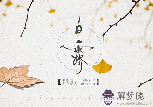 白露屬于夏天還是秋天 2019年白露日子好不好？(圖文)