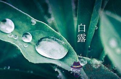 白露是什麼季節 這個季節還有什麼節氣？(圖文)