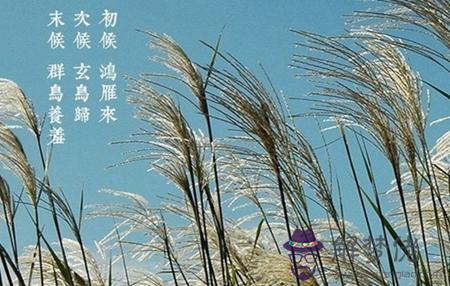 2019年9月8日白露這天沖什麼生肖,白露吃雞有什麼含義？(圖文)