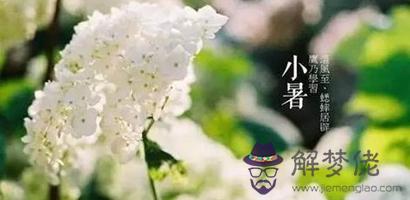 2019年小暑會不會下雨 小暑各地氣候特征是什麼？(圖文)