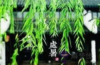 2019年農歷什麼時候出伏第一天 處暑和出伏的區別(圖文)