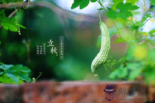 2019年立秋這天可以理發嗎？文殊菩薩剃頭吉日(圖文)