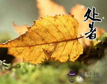 2019年處暑前一天適合結婚嗎,處暑前后結婚吉日推薦！(圖文)