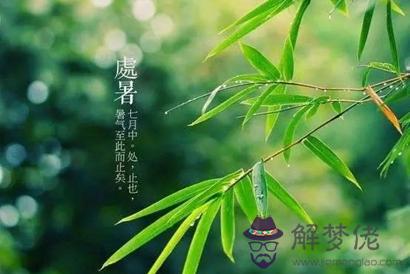 2019年秋老虎有多少天 秋老虎是處暑后還是處暑前？(圖文)