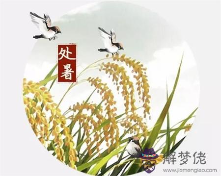 2019年8月23日處暑這天出行好不好,處暑的處有何含義？(圖文)