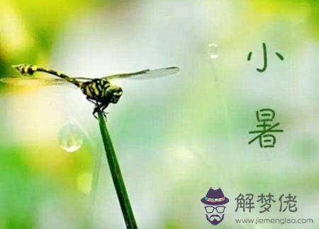 小暑節氣一般吃什麼傳統食物,2019年三伏天時間表解析！(圖文)