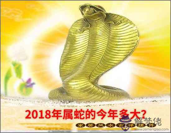 2018年屬蛇的今年多大