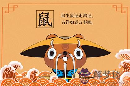 十二月鼠犯月嗎 生在犯月會有什麼危害