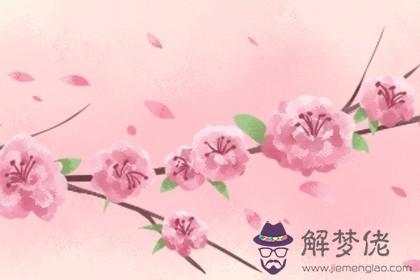 帶桃花的八字命理 命上助己八字桃花重