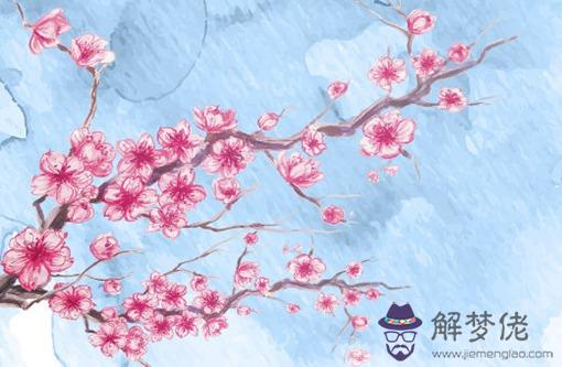 2022年本命年屬虎帶什麼好 虎眼石讓屬虎人聚財轉運