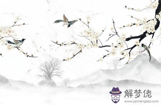 我屬虎的今年運氣如何 歲駕吉星拱照財富爆發