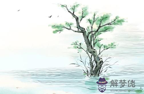 虎年屬虎的女人戴什麼手鏈 屬虎女虎年佩戴黑曜石去霉運