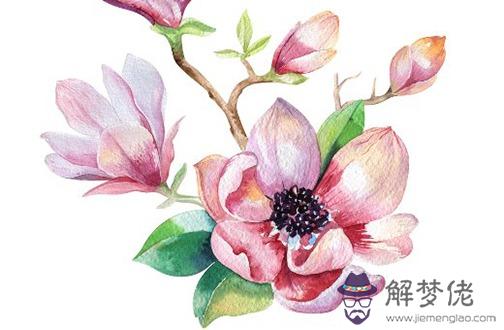 虎年本命年女性佩戴貔貅 女性屬虎人戴綠水晶提神醒腦