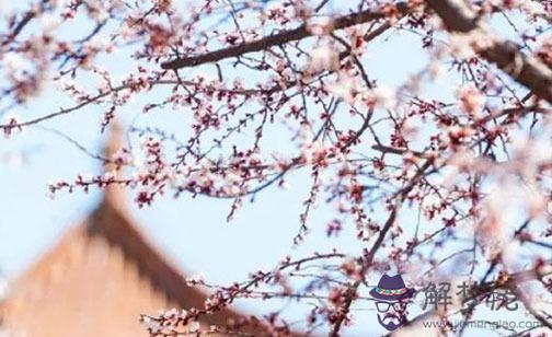 女命正印格能嫁有錢人是真的嗎 正印格女適合的婚嫁