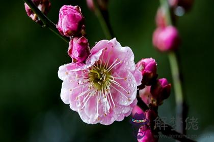 2022壬寅虎年1月9日是什麼日子 今日吉時是幾點至幾點