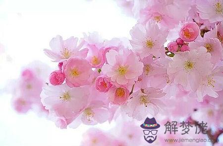 2019年4月出生的人命好嗎,今年出生的人財運好嗎？(圖文)