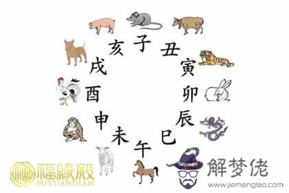 十二生肖男人性格特點分析和優缺點(圖文)