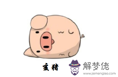 9月出生的屬豬名人偉人有哪些？(圖文)