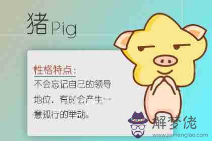 屬豬的可以戴龍牌有忌諱嗎 注意事項(圖文)