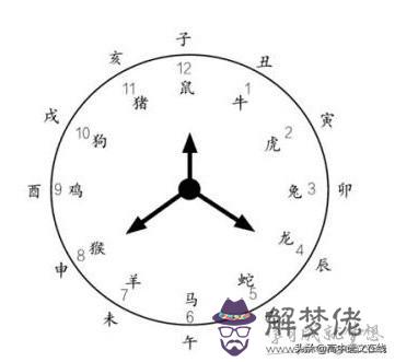 出生時辰八字五行查詢