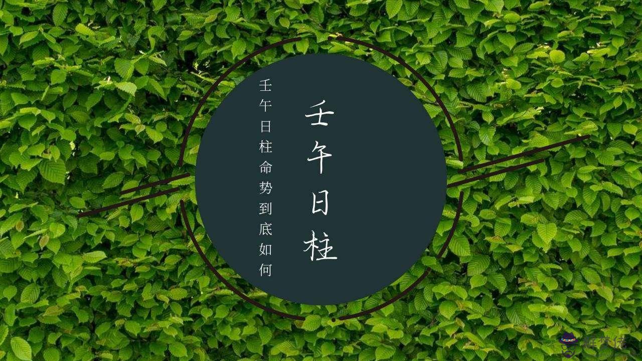 八字的日柱柱查詢