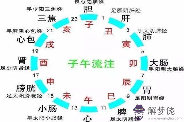 關于八字看身體部位和疾病法的信息