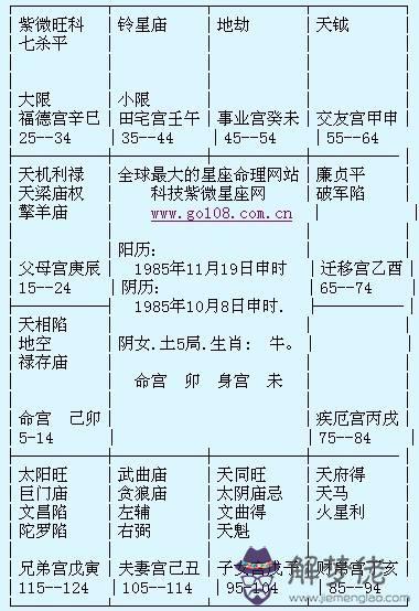 包含2019年1月24日生辰八字查詢的詞條