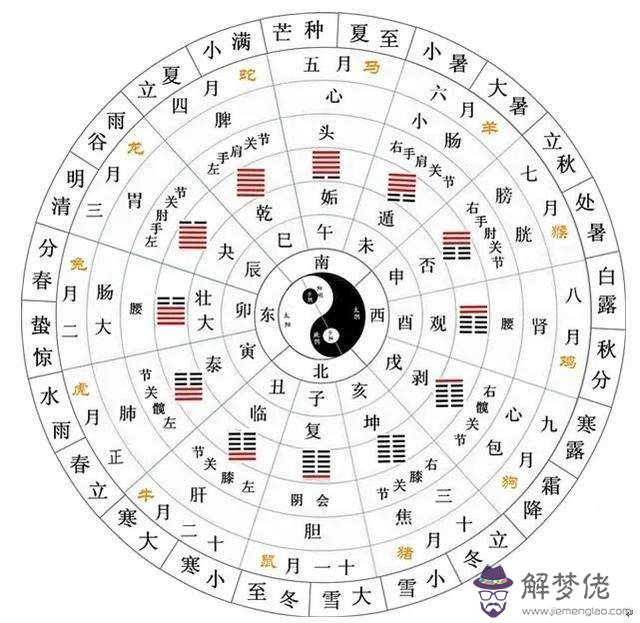 八字排盤看不懂怎麼辦的簡單介紹