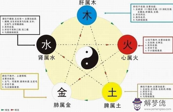 八字木多無金無火的人