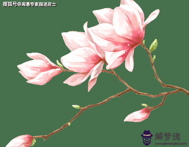 吸毒桃花八字