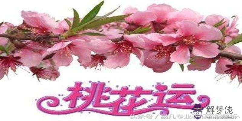 八字中怎麼查桃花