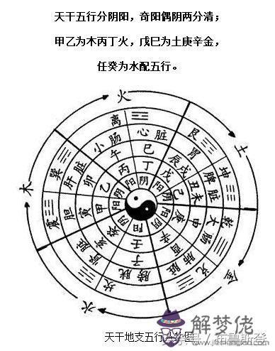 查生辰八字兔