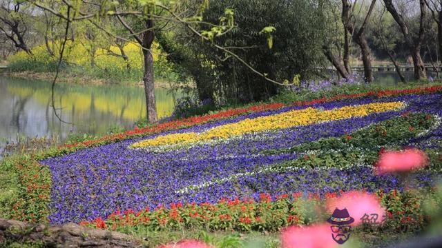 八字橋鄉鮮花預定