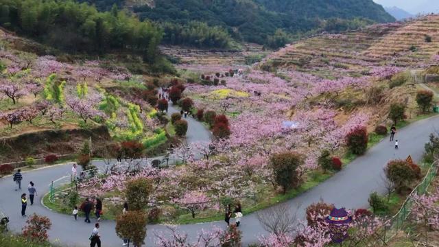 八字橋鄉鮮花預定