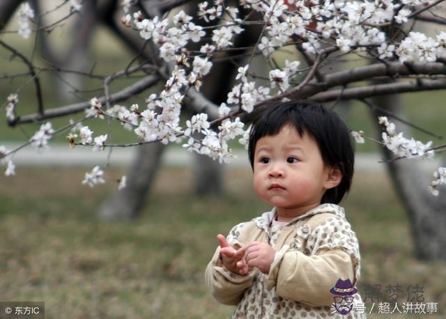 算命先生說的童子是什麼意思